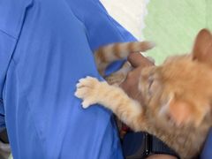 -佳雯宠物医院·皮肤科·内外科(春晓路分院)