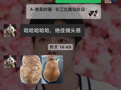 -老吴的猫·猫舍(新区店)