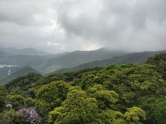 -梧桐山风景名胜区