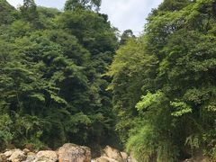 -西岭雪山大飞水景区