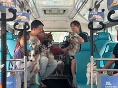 -帕帕拉兹宠物(亚洲旗舰店)