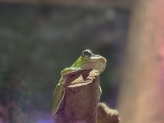-正佳雨林生态植物园