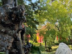 -大槐树寻根祭祖园