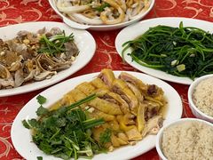 -先父九六鸡饭店(站前路店)