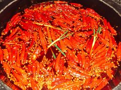 牛油红锅-蜀大侠火锅(春熙路店)