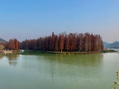 -星湖旅游景区七星岩