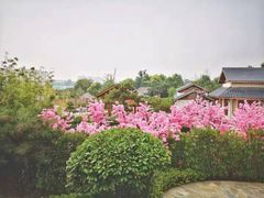 -郑州银基黄帝宫御温泉