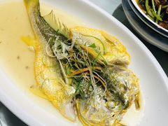 清蒸黃魚-田水湾•六尺巷(东方蓝海店)