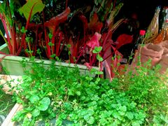 -杭州国际会议中心洲际酒店-原素全日餐厅(解放东路店)