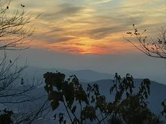 -惠山国家森林公园