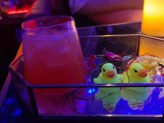 -TORA音乐酒馆
