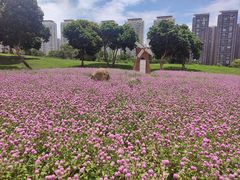 -香山湖公园