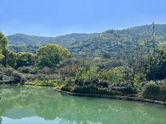 -树山生态村