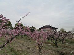 -桃花岛景观公园