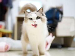 -张记美味思大盘鸡(博颂路店)