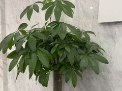 -美年大健康体检(天河东路分院)
