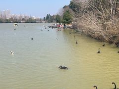 -艾溪湖湿地公园