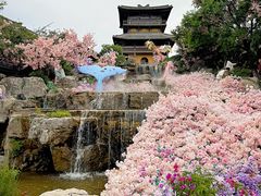 -茅山东方盐湖城景区