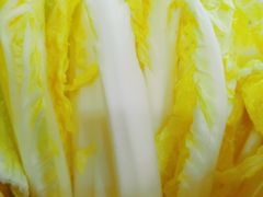 -顺德哥卜卜贝(旗舰店)