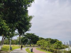 -万绿园