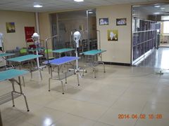 -优缇多格专业宠物美容师培训学校