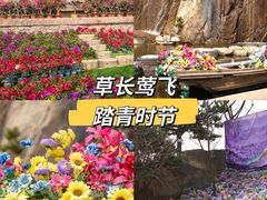 -沂蒙云瀑洞天景区