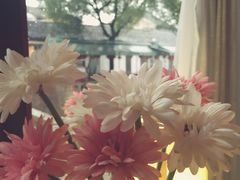 -花木兰·咖啡·茶铺