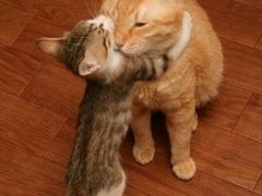 -鬼酥肉(熙街店)