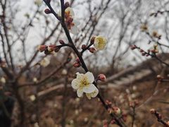 -缥缈峰景区