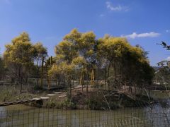 -天适樱花悠乐园