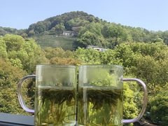 -阿巧茶庄