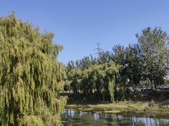-东郊湿地公园