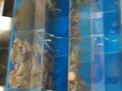 -宾朋海鲜特色美食餐厅·纯手工鲅鱼水饺(兴海路店)