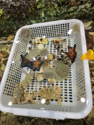 -钓虾工场·钓虾·赶海(回龙观店)