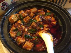 -陈麻婆豆腐总店