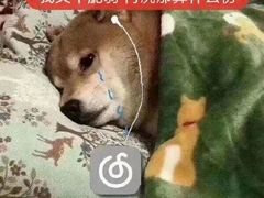 -千古迷阵密室逃脱·剧本推理(成都旗舰店)