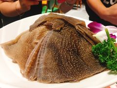 脆毛肚-草原塞蛮羊火锅城(港湾店)