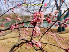 -济南野生动物世界