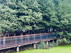 -月湖风景区