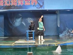 -苏州海洋馆