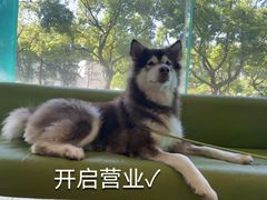 -瑞派申生动物医院·24H夜诊·国际动物医疗中心·骨外科(吴中路店)