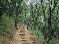 android_upload_pic-沕沕水生态风景区