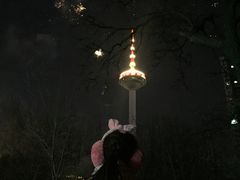-辽宁电视塔