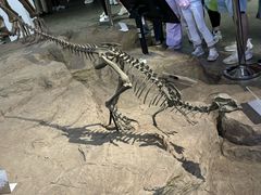 -自贡恐龙博物馆