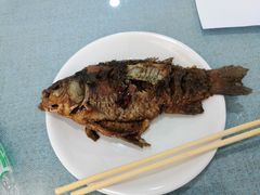 -北京华德宝宝马4S店(朝阳店)