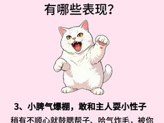 -瑞鹏宠物医院·骨外科·心肾科·肿瘤科(九亭店)