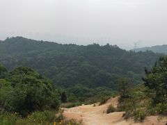 -灵岩山风景区