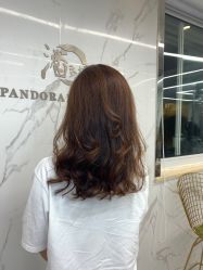-潘多拉Hairsalon