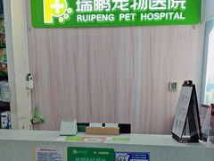 -瑞鹏宠物医院·微创内窥镜·骨外科·牙科(翠竹分院)