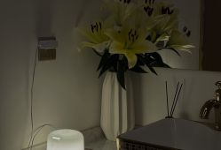 -KINI绮丽·美学肌SPA进口仪器专业店